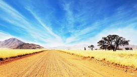 宽阔的萨凡纳金道路