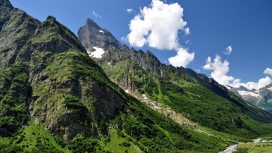 可爱的欧亚高加索绿山壁纸