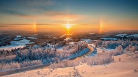 尼斯冬季森林的日落大道