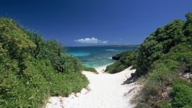 通往海洋的沙滩路