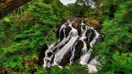 绿色森林岩石小瀑布美景壁纸