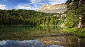 高清晰绿色森林湖壁纸