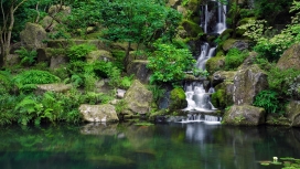 高清晰漂亮绿色岩石瀑布壁纸