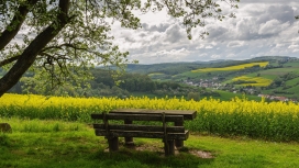 金灿灿油菜花的石头长椅设计