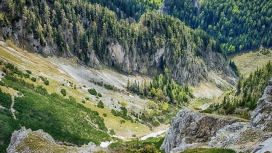 令人惊叹的山树谷