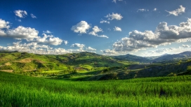 阳光明媚的绿色山丘
