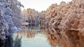 漂亮的冷冻树木河