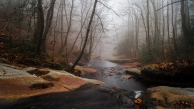 雾气山林小溪壁纸