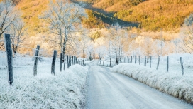 铁丝围栏雪路壁纸