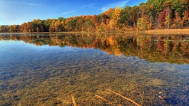 秋天的树木湖