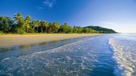 广阔热带海洋棕榈海滩