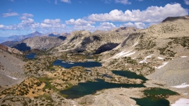 可爱的湖泊山植物