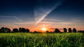 夕阳红下的草地树木