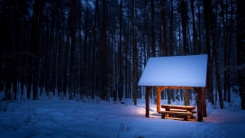 冬季森林的休息亭