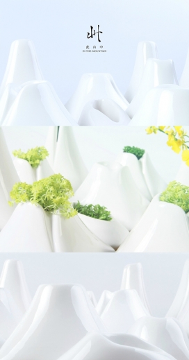 此山中-盆景设计