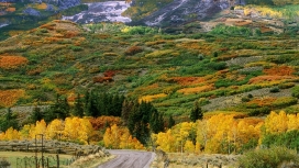 秋天的山道栅栏树木