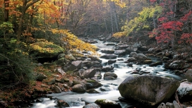 尼斯流的石头小溪