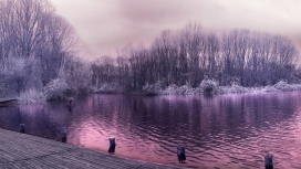 紫色雪湖美景