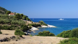 漂亮的府湾树海