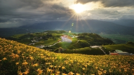 山黄花下的房屋