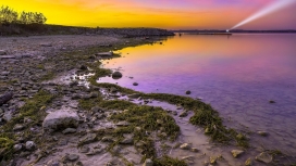 天空下海洋藻类岩石