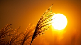 令人惊叹的日落