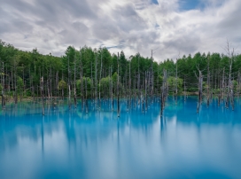 淹没森林的蓝水壁纸