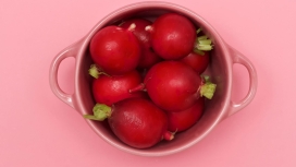 高清晰红萝卜壁纸