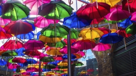 丰富多彩的雨伞