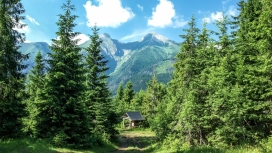 高清晰绿色森林休息凉亭壁纸