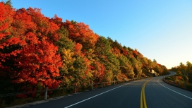 高清晰秋季红叶公路壁纸