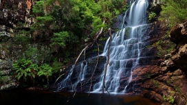 高清晰森林岩石瀑布流壁纸