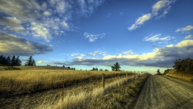 黄色的场道栅栏树木