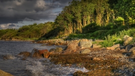 暴风雨下的树草河岩
