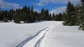 高清晰大雪车轮印壁纸
