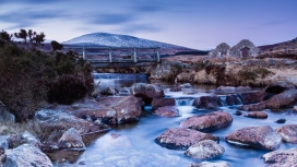 高清晰峰江大桥岩石植物壁纸