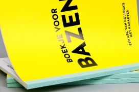 荷兰投资基金品牌宣传册设计