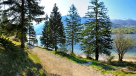 阳光下的暗藏树林湖