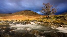 高清晰溪流壁纸