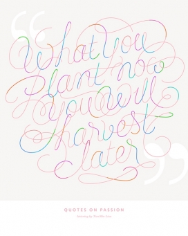 Quotes on Passion-漂亮的流线型花纹字母设计
