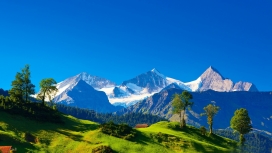 高清晰阿尔卑斯雪山绿林壁纸