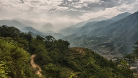 壮观的梯田绿山