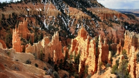 壮丽的峡谷树木雪山