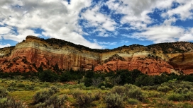 高清晰神奇的岩石植物山壁纸