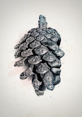 Klein Karoo-反映您的环境的插画