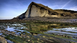 长满青苔的石壁