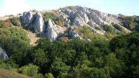 高清晰绿色石林山壁纸