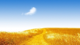 高清晰金色梦幻小路壁纸