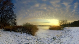 冬季雪地的早晨