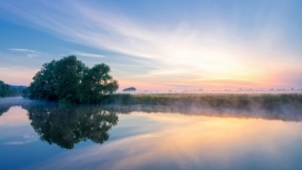 完美湖景树壁纸